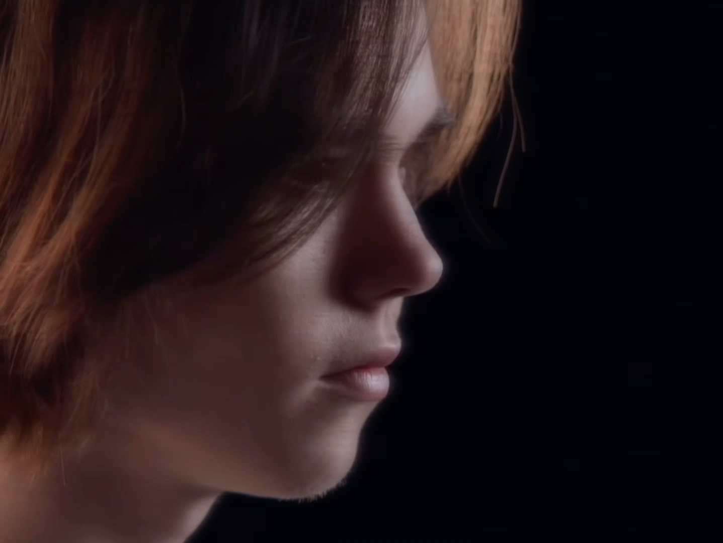 开拓者所在 开拓者所在