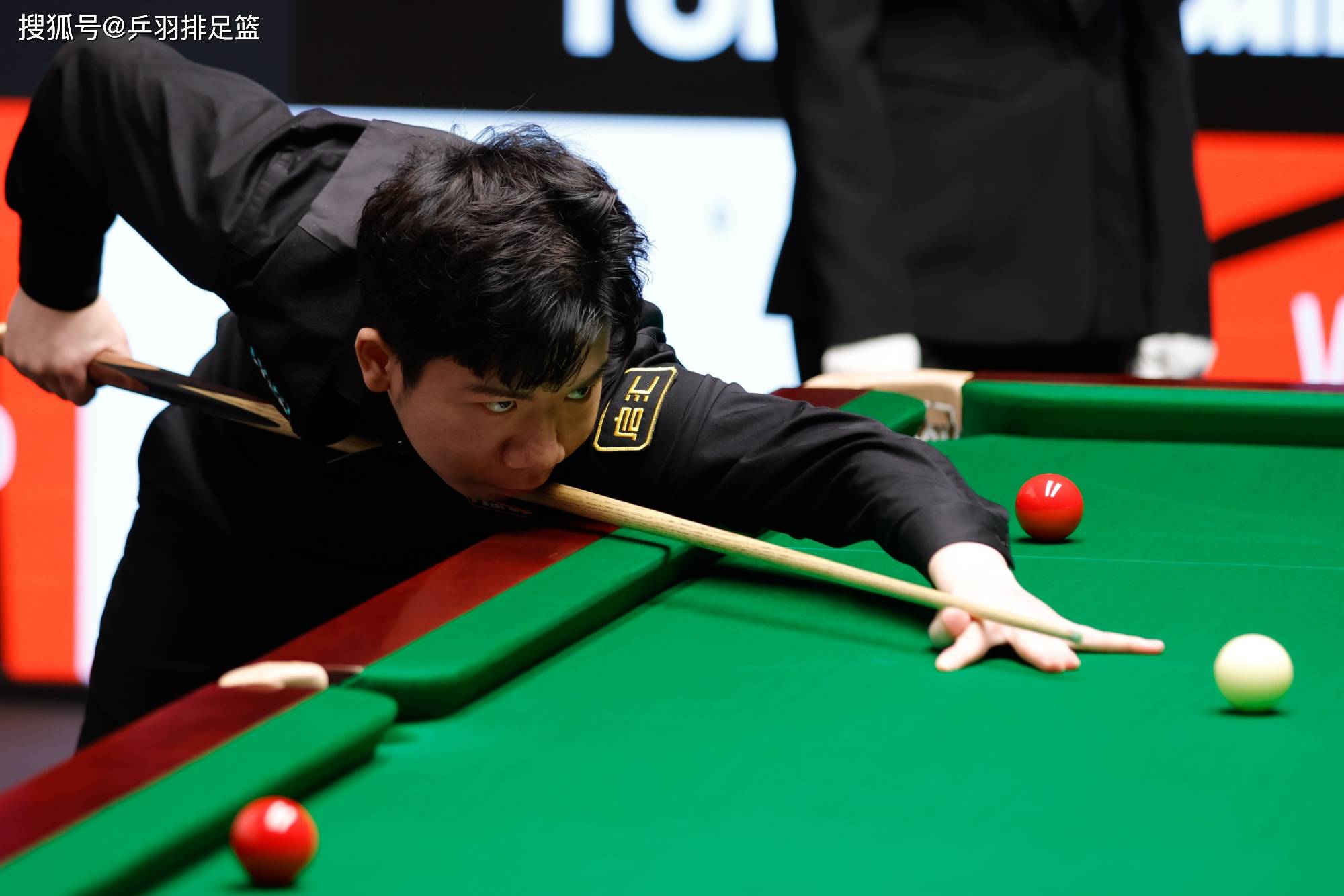 不容忽视的 不容忽视的